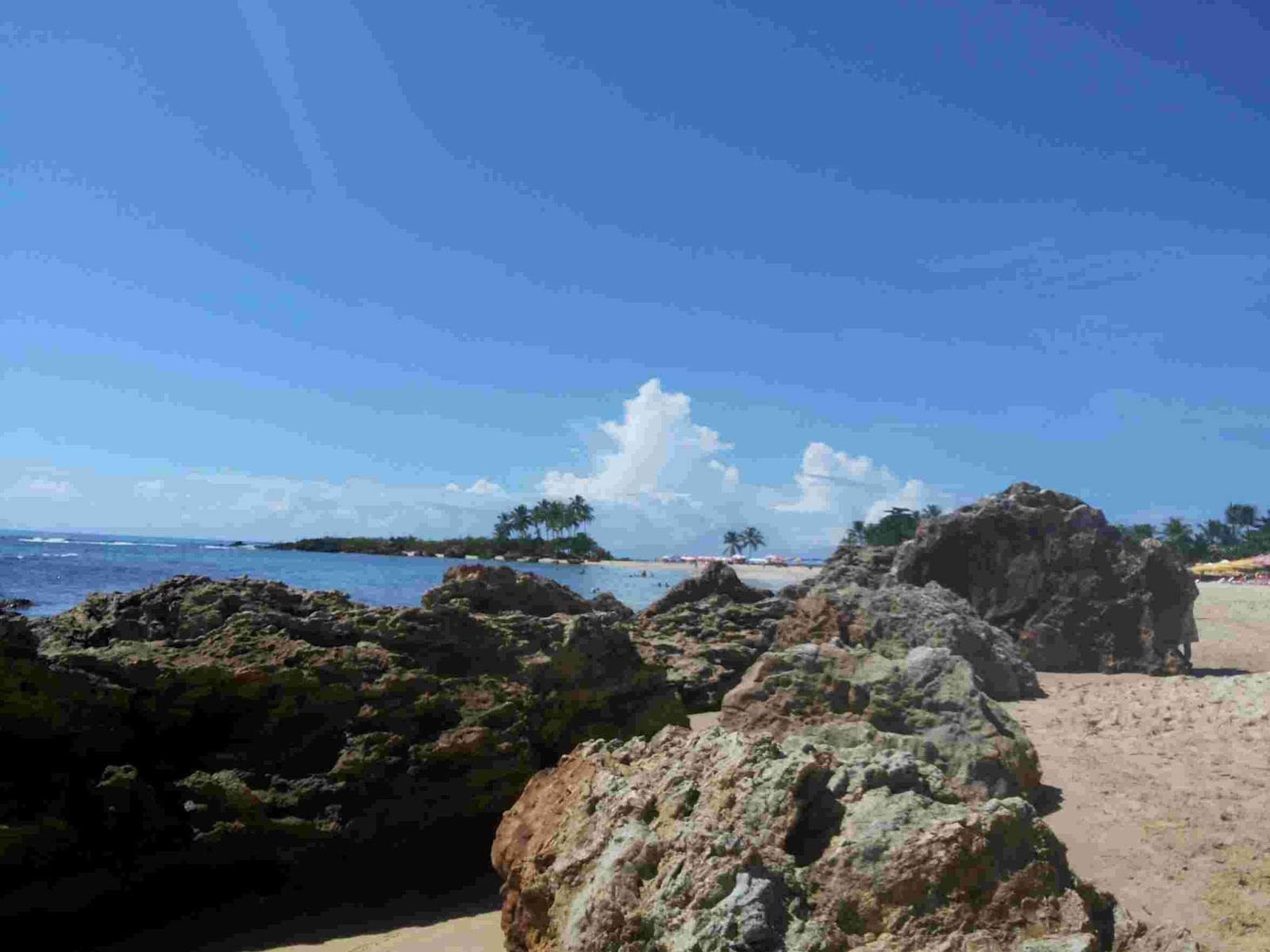 Ilha Bela: Qual é o Melhor Catamarã Para o Morro de São Paulo?