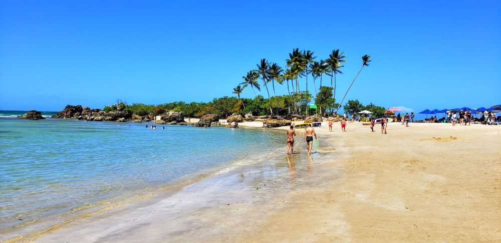 Passeio de Catamarã: Seu planejamento perfeito