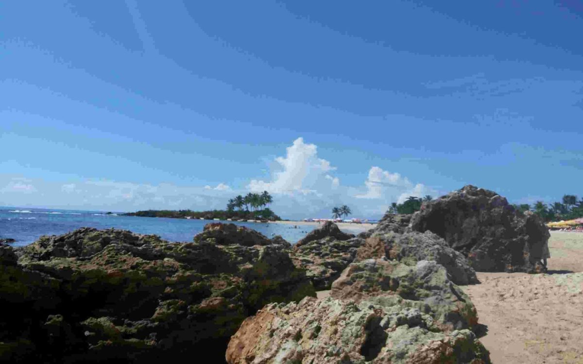 Ilha Bela: Qual é o Melhor Catamarã Para o Morro de São Paulo?