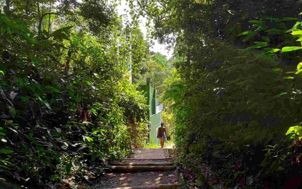 Onde Fazer Trilha no Morro de São Paulo? Explore a Natureza